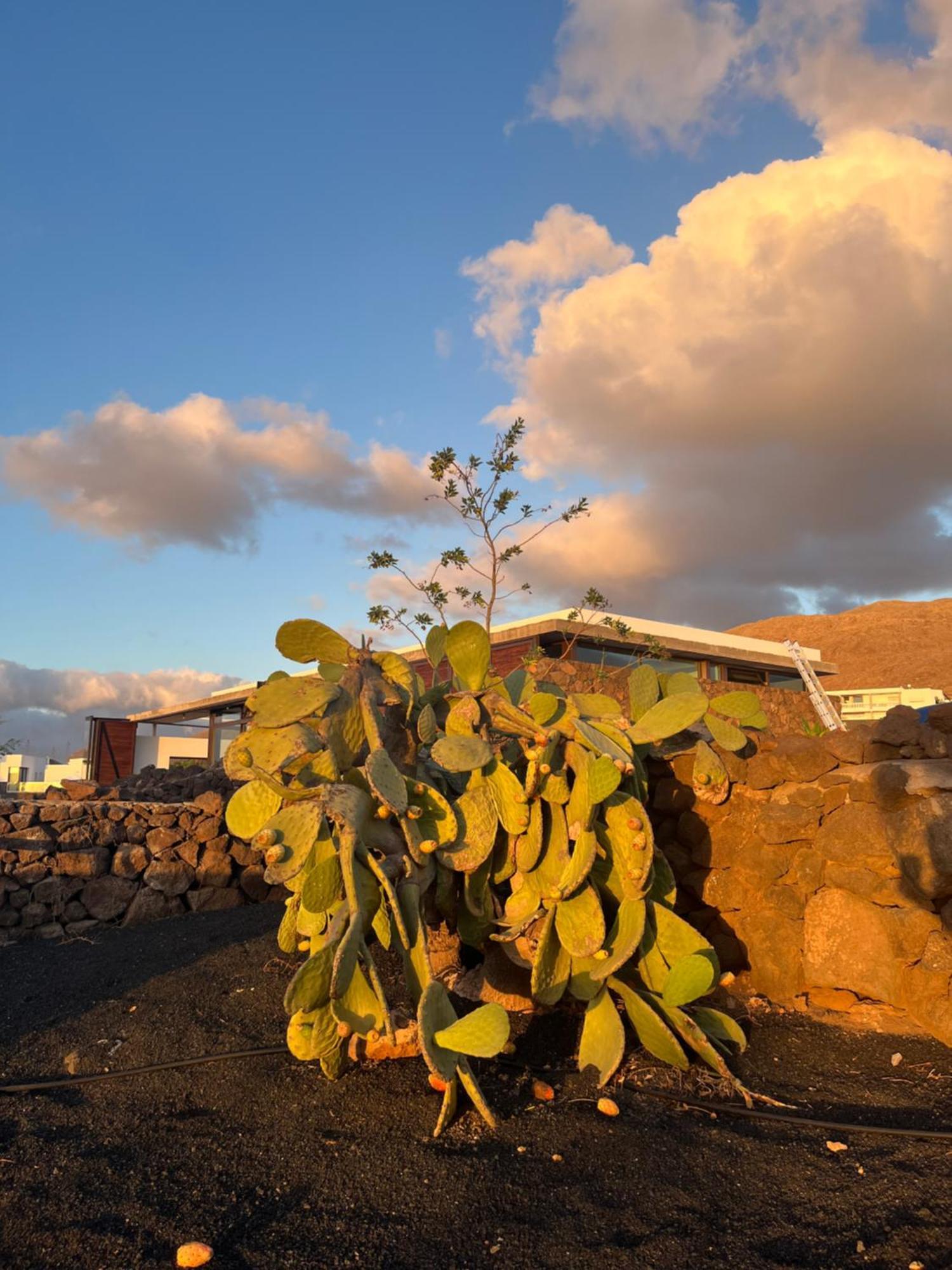 Finca Antigua Las Breñas 외부 사진